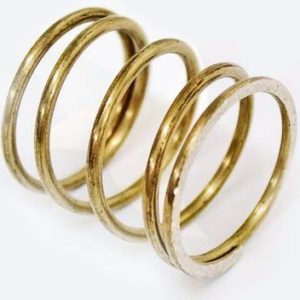 9534-360-002 Dexter Lock Cam Spring