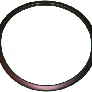 Alliance F8440801P Washer Door Gasket (C80/100)