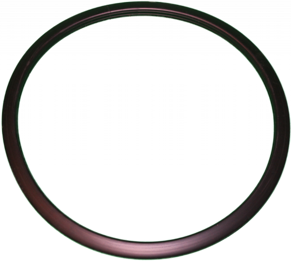 Alliance F8440801P Washer Door Gasket (C80/100)